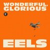 Eels - Wonderful, Glorious 2x10"