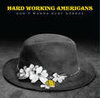 Hard Working Americans - Don't wanna hurt nobody 7"