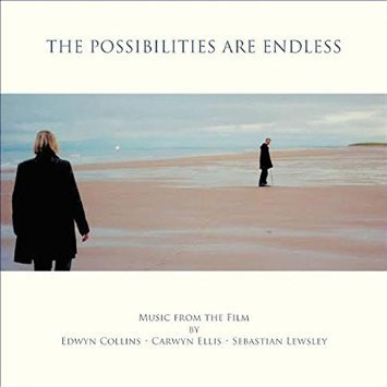 Collins, Edwyn / Ellis, Carwyn / Lewsley, Sebastian - The possibilities are endless CD