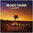 Black Palms Orchestra - Sad Moon Rising LP+DL