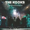 Kooks - 10 Tracks To Echo In The Dark LP