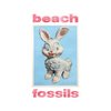 Beach Fossils - Bunny CD